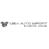 USA Auto Import