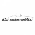 DLS Automobile